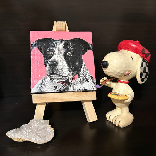 Mini Pet Portraits