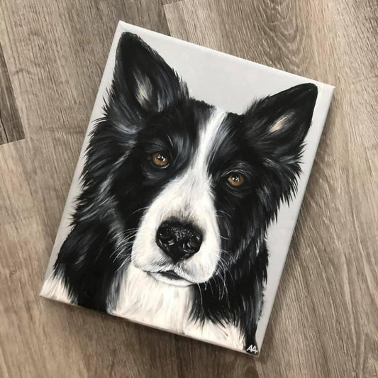 pet portrait