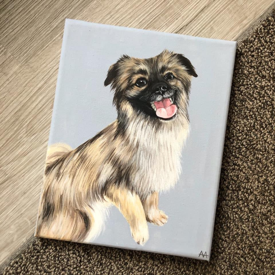 pet portrait