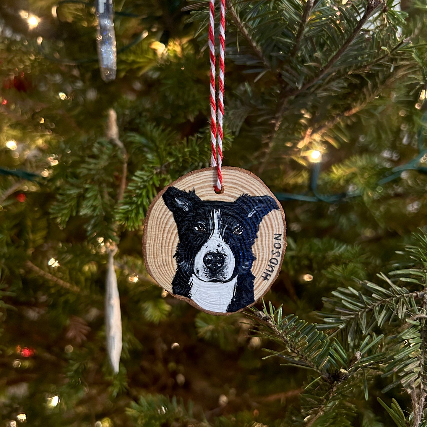 painted pet ornaments