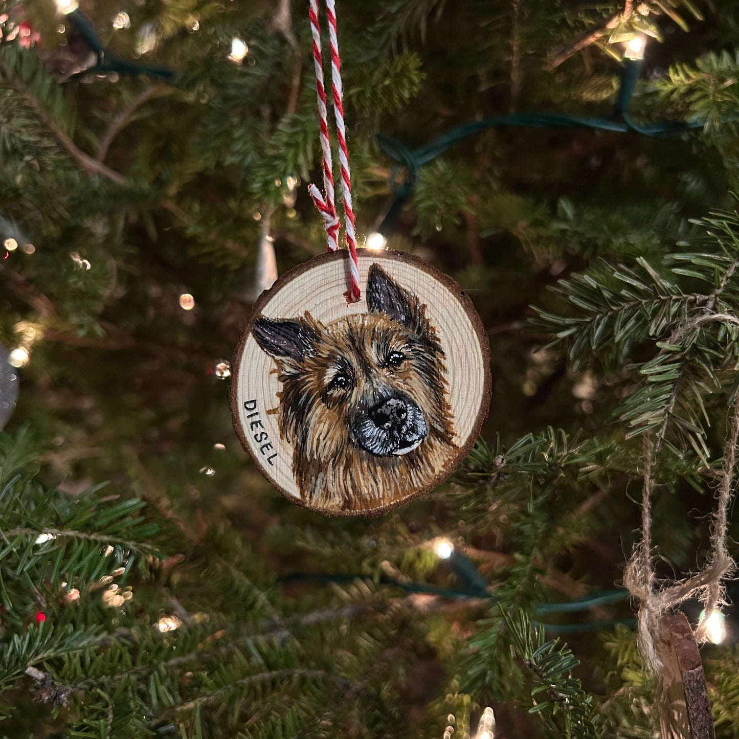 painted pet ornaments