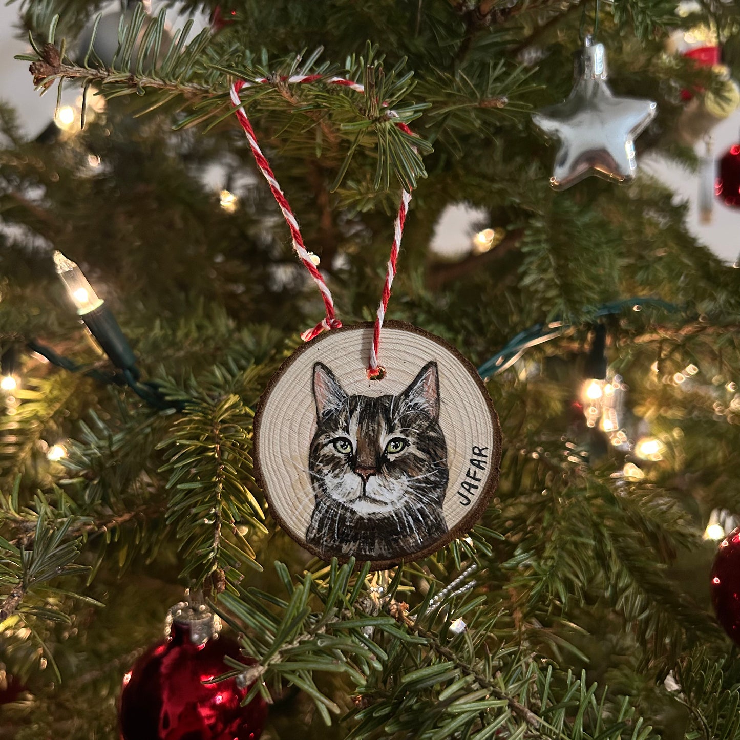 painted pet ornaments