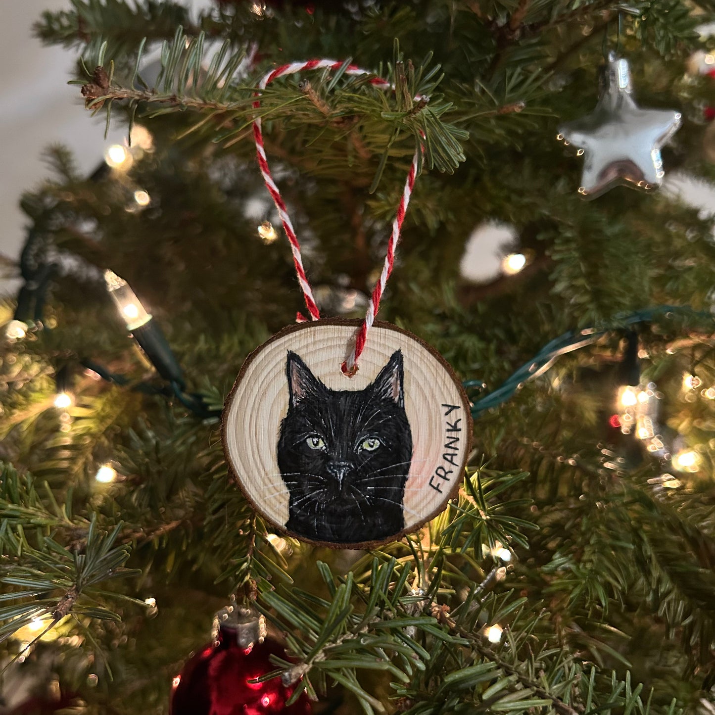 painted pet ornaments