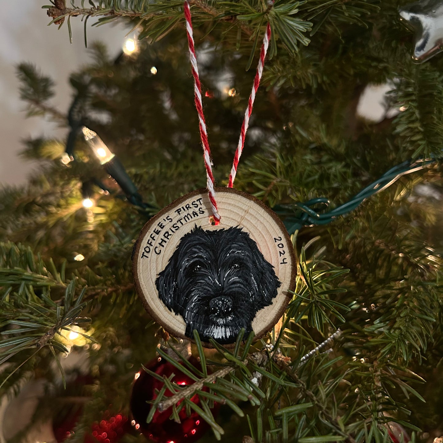 painted pet ornaments