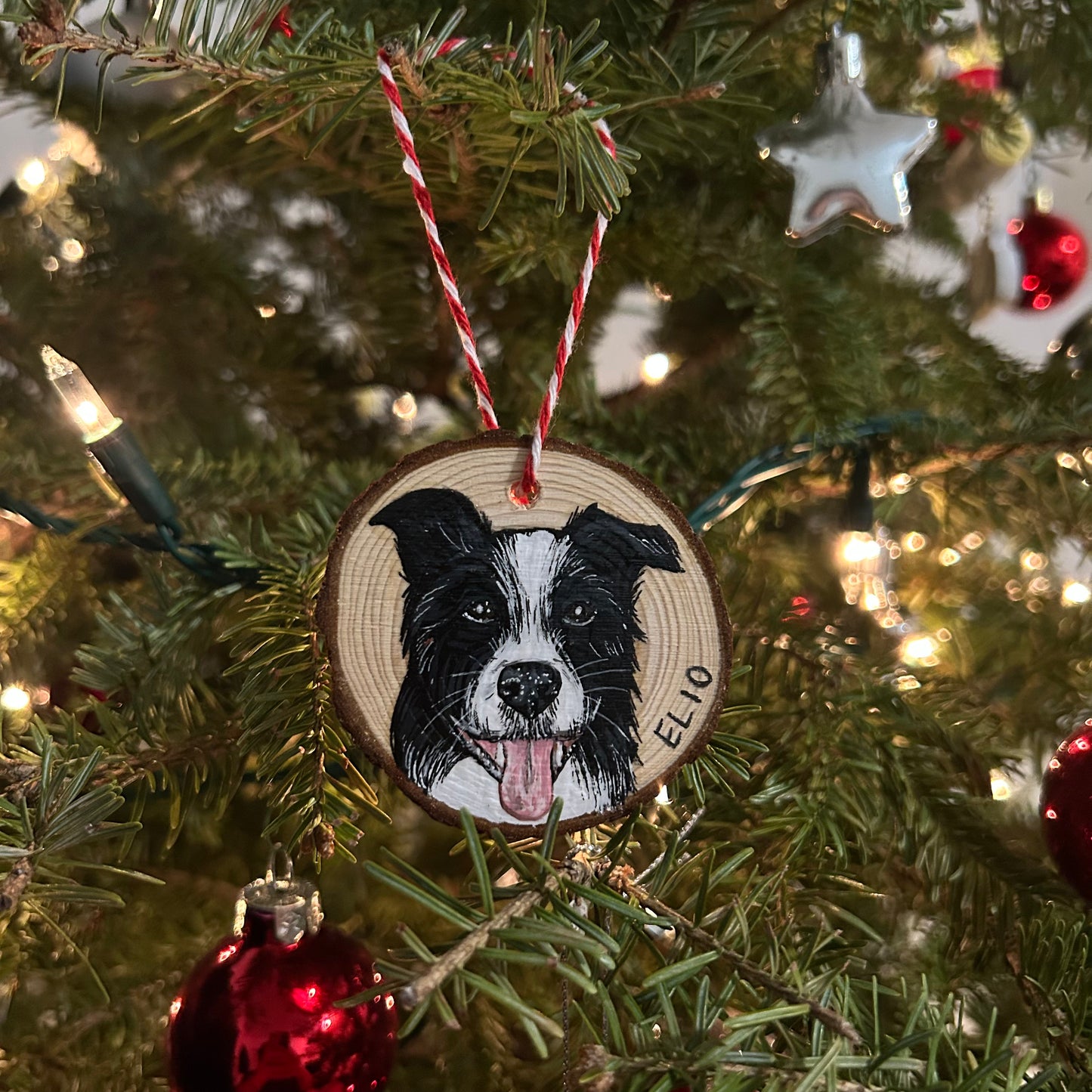 painted pet ornaments