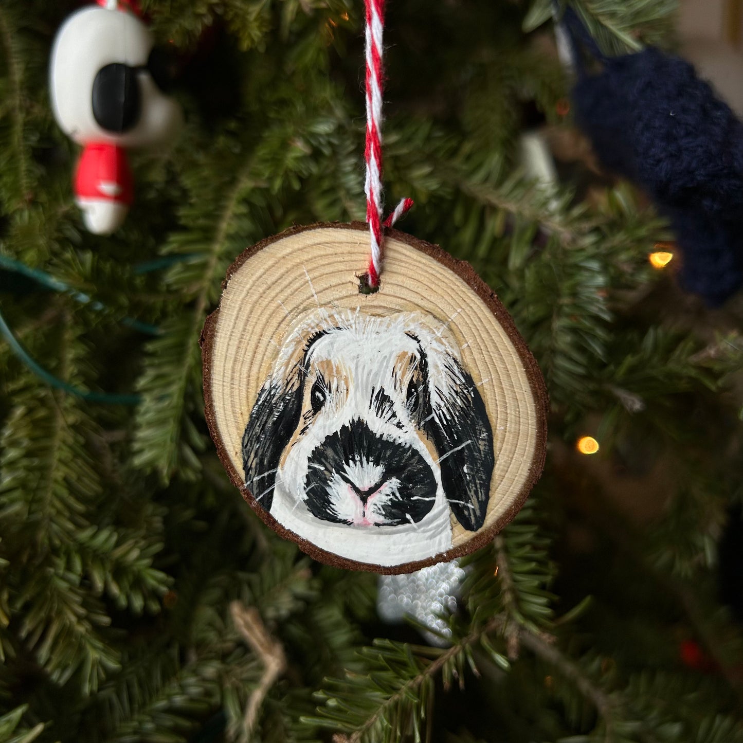 painted pet ornaments